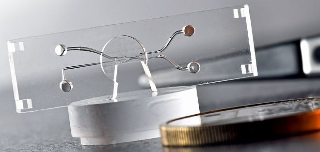 Eine Mikrofluidik aus Quarzglas mit eingebauten Schlauchanschlüssen, variablen Kanalquerschnitt in allen Richtungen. Mit Flüssigkeit gefüllt sind im Mikroskop kaum störende Strukturen zu erkennen.