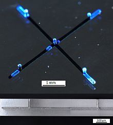 3D Kanal in Quarzglas: 5 Sacklöcher und 2 vergrabene Kanäle mit Kreuzung 3D Kanal in Quarzglas: 5 Sacklöcher und 2 vergrabene Kanäle mit Kreuzung