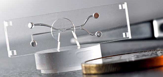 Eine Mikrofluidik aus Quarzglas mit eingebauten Schlauchanschlüssen und variablem Kanalquerschnitt in allen Richtungen. Mit Flüssigkeit gefüllt sind im Mikroskop kaum störende Strukturen zu erkennen. Eine Mikrofluidik aus Quarzglas mit eingebauten Schlauchanschlüssen, variablen Kanalquerschnitt in allen Richtungen. Mit Flüssigkeit gefüllt sind im Mikroskop kaum störende Strukturen zu erkennen.